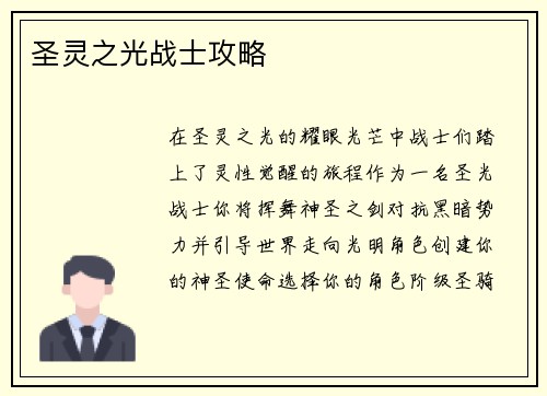 圣灵之光战士攻略